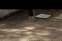IMG-20210206-WA0024