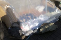 IMG-20210131-WA0014