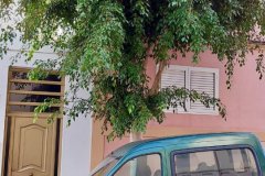 Poda-La-Montaneta-de-El-Calero-2