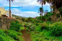 Limpieza-barranco-del-Tundidor-1