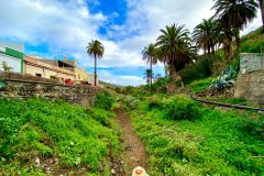 Limpieza-barranco-del-Tundidor-2