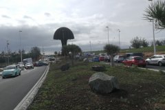 IMG_20210104_114120_resized_20210104_121746471