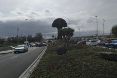 IMG_20210104_114125_resized_20210104_121746270