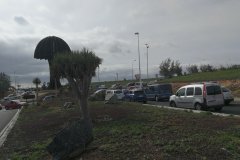 IMG_20210104_114129_resized_20210104_121703287