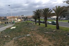 IMG_20210104_114405_resized_20210104_121626520