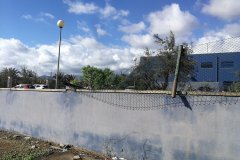 IMG_20210113_110529_resized_20210118_113351704