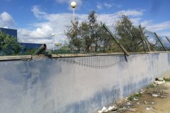 IMG_20210113_110536_resized_20210118_113351251