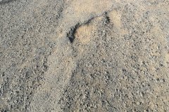 IMG_20210118_101140_resized_20210118_104123243