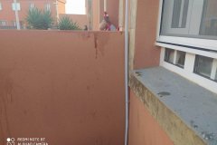IMG-20210110-WA0063