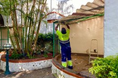 WhatsApp-Image-2021-01-20-at-09.29.50