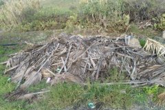 IMG-20210119-WA0024