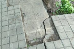 IMG-20210119-WA0025