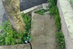 IMG-20210119-WA0027