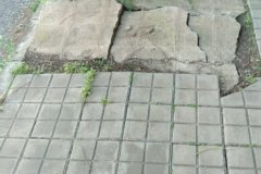 IMG-20210119-WA0028