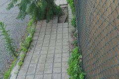 IMG-20210119-WA0029