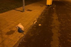 IMG-20201213-WA0008