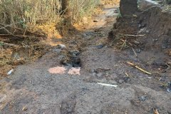 PHOTO-2021-01-08-17-23-50