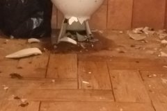 Vandalismo-en-las-zonas-verdes-de-Telde-3