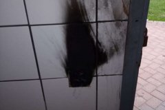 Vandalismo-en-las-zonas-verdes-de-Telde-6