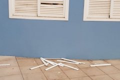 Vandalismo-en-las-zonas-verdes-de-Telde-8