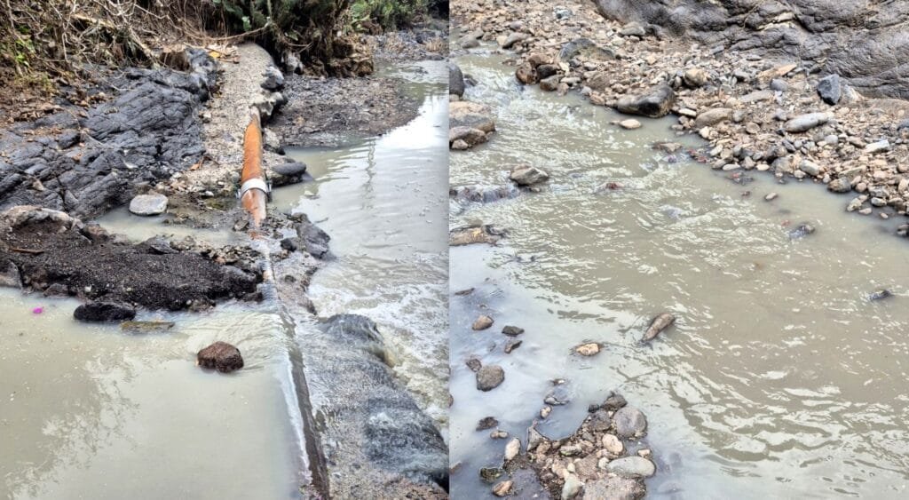 NC TELDE LAMENTA LA FALTA DE RESPUESTA DEL GOBIERNO DE TELDE ANTE UN VERTIDO DE AGUAS FECALES CON EL RIESGO DE DESASTRE ECOLÓGICO QUE ELLO SUPONE