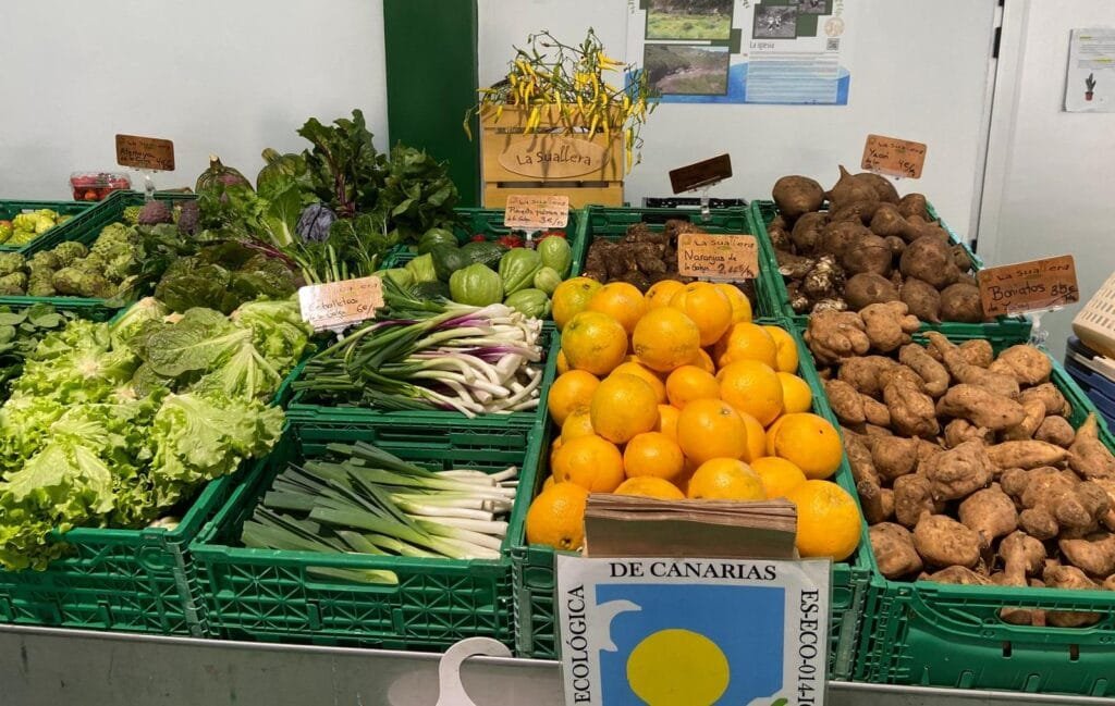 DRAGO CANARIAS ALERTA SOBRE EL PRECIO DE LA CESTA DE LA COMPRA: AUMENTÓ UN 40% Y NO SE ESTÁN TOMANDO MEDIDAS